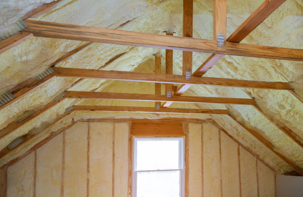 Best Insulation Installation Services in Washoe Valley, NV